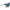 Bosch GBH 5-38 D Martello perforatore con attacco SDS-max Professional